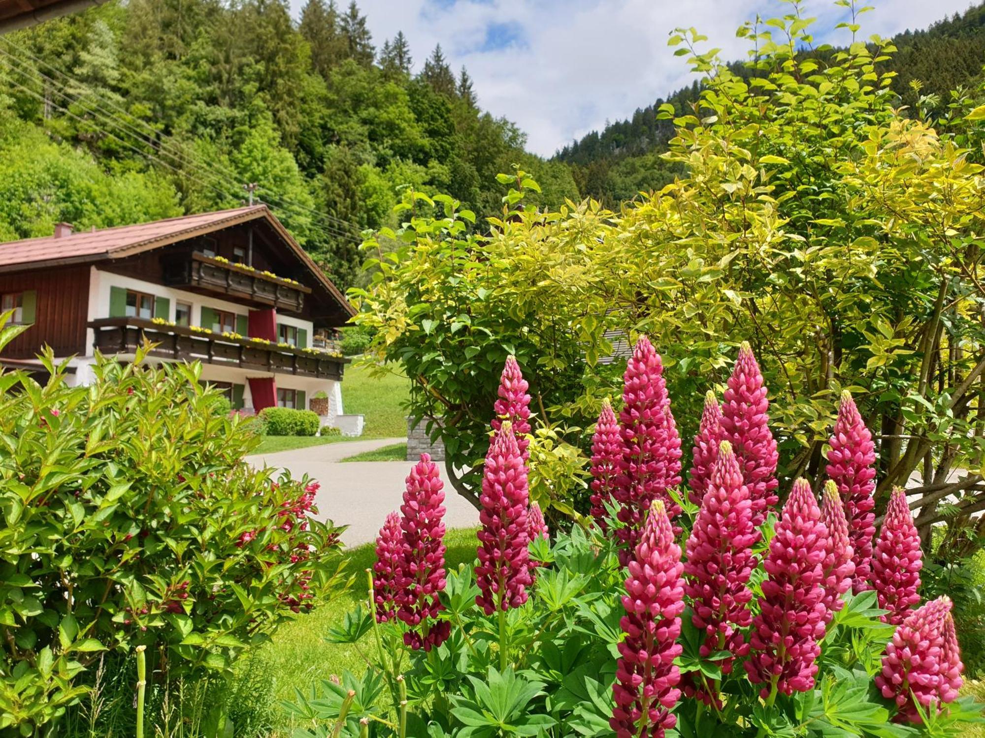 Gschwenderhaus Ferienwohnungen Oberstdorf Bilik gambar